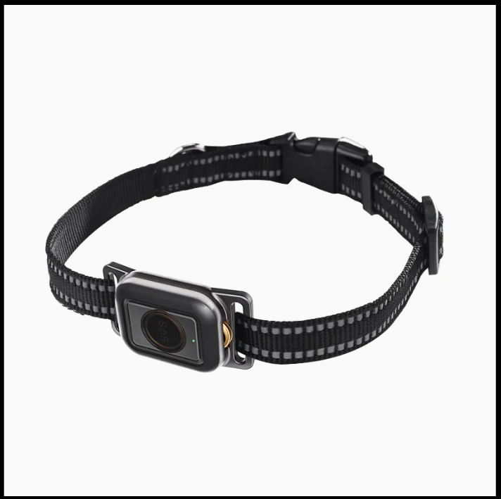 Collar with tracker
FurStyle GPS pet tracker device attached to collar for real-time tracking and pet safety